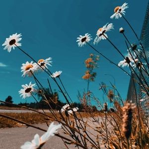 Meet your Posher, Rushali